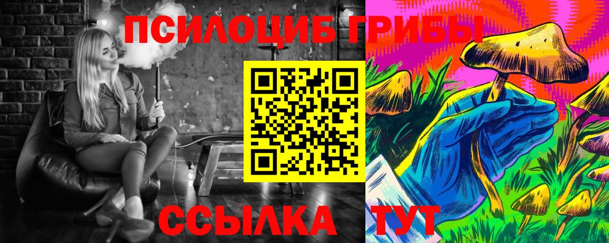 Рубцовск  Псилоцибиновые грибы Psilocybe  Вход с VPN 